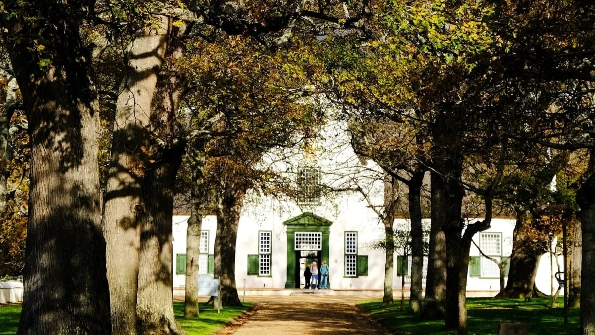 Beau Constantia