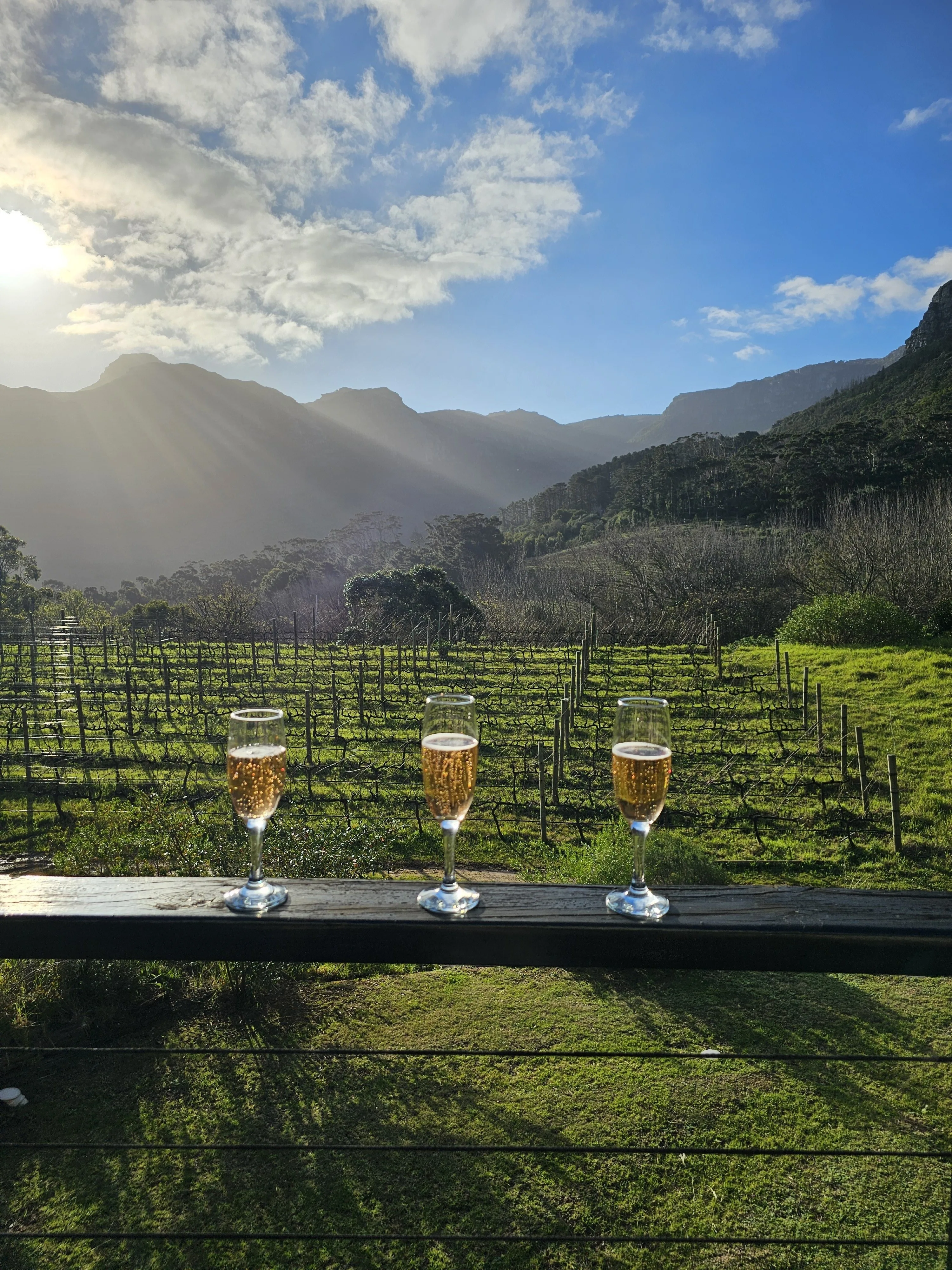 Extraordinary South African settings — mountain slopes, vineyards, ocean horizons