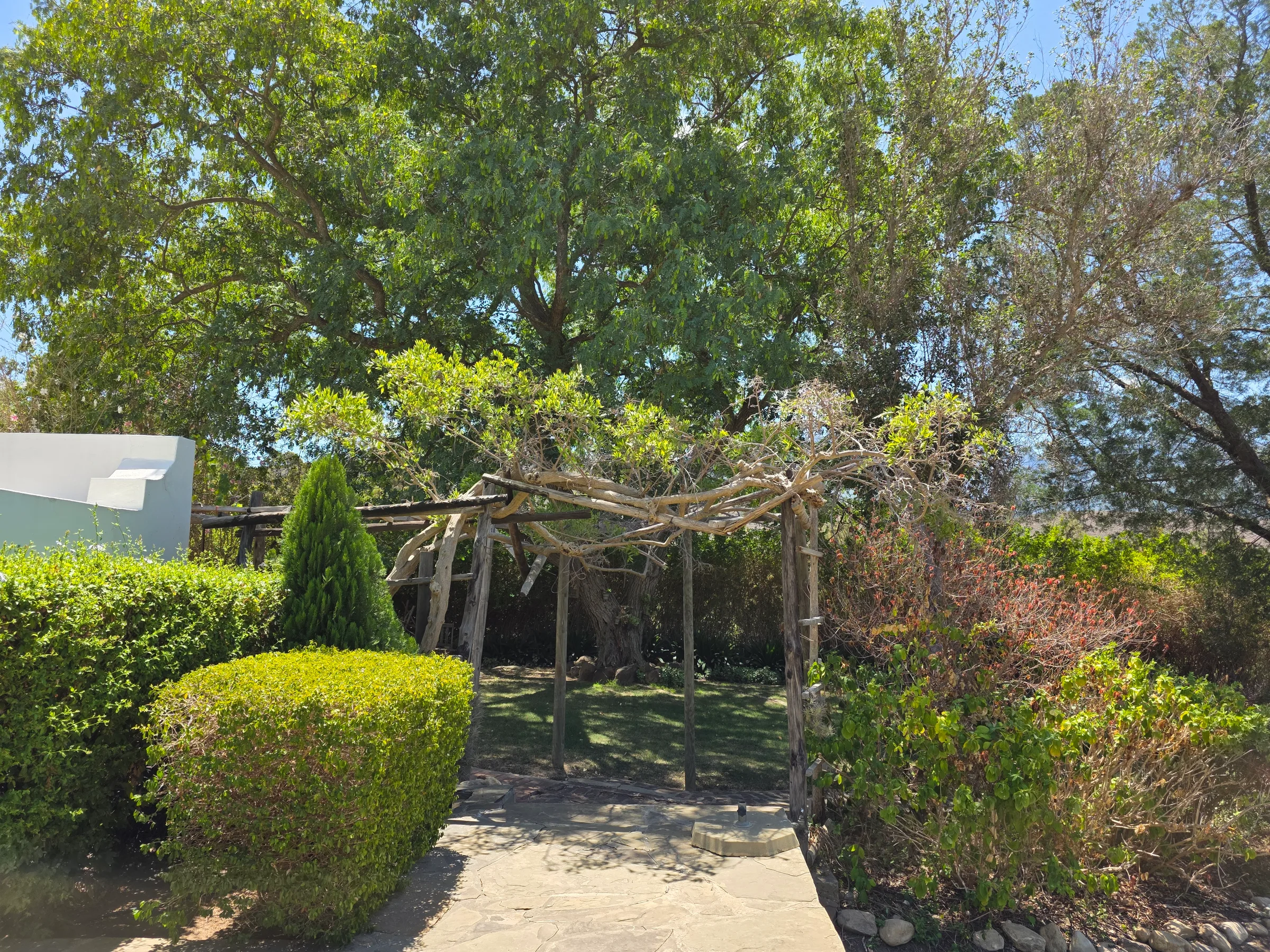 Wolwekloof Estate
