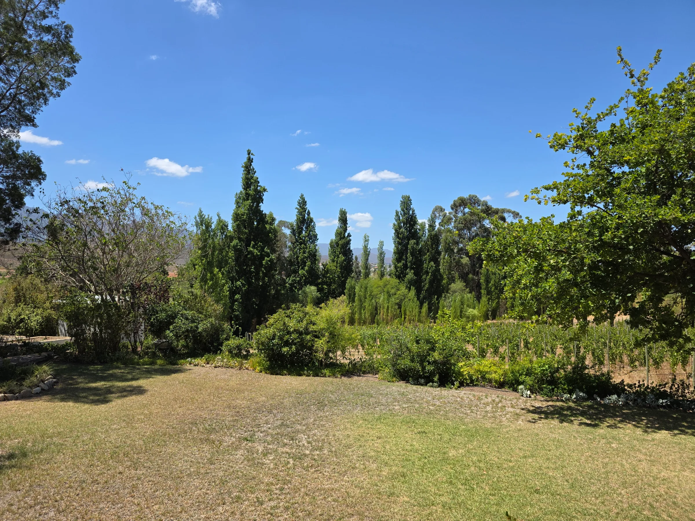 Wolwekloof Estate