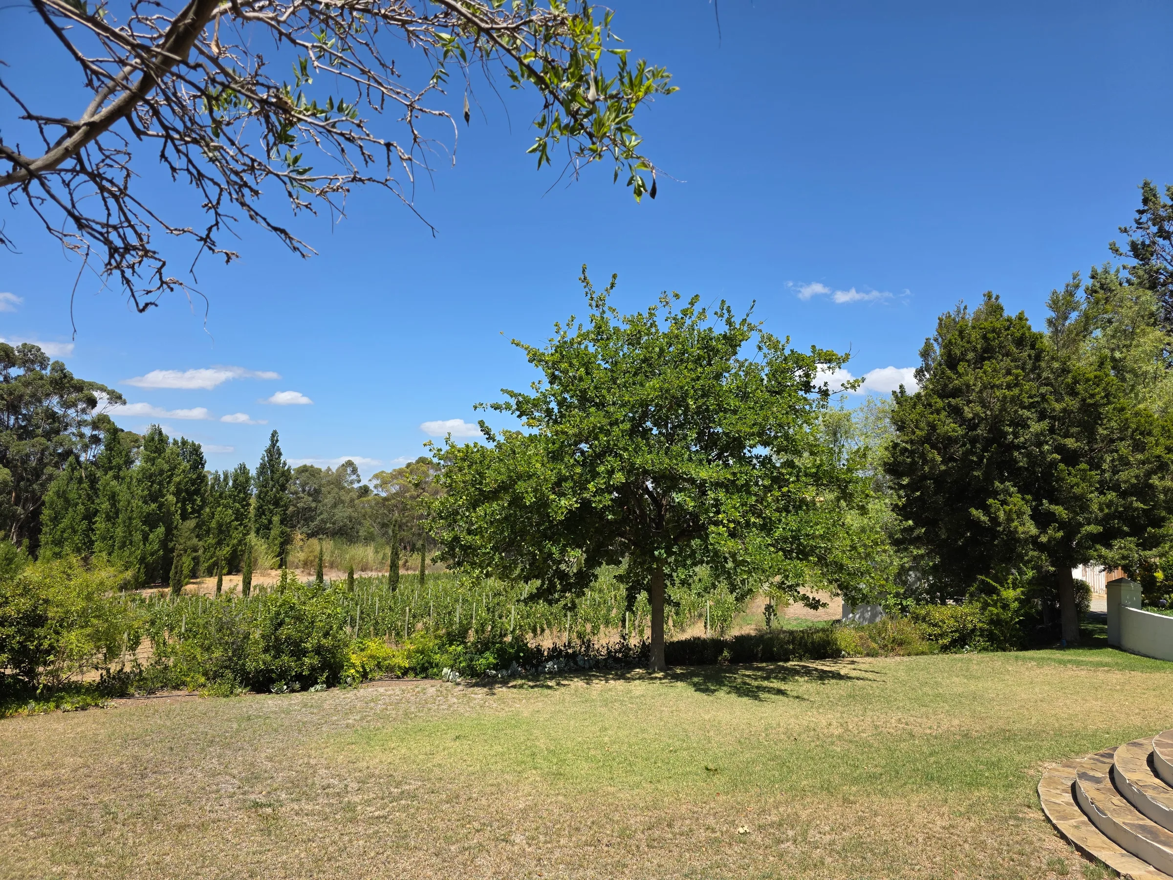 Wolwekloof Estate