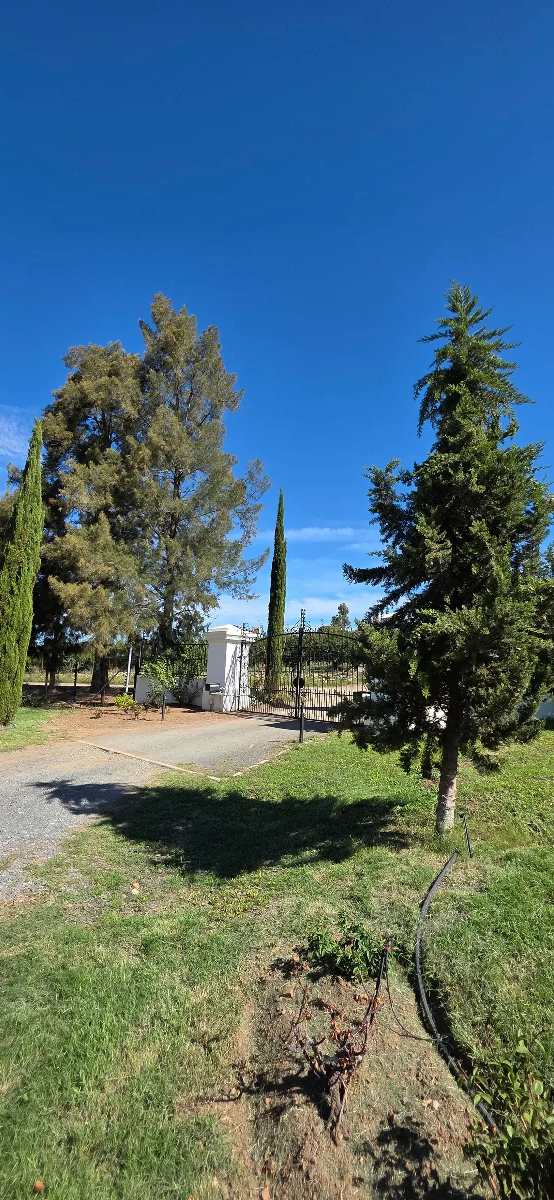 Wolwekloof Estate
