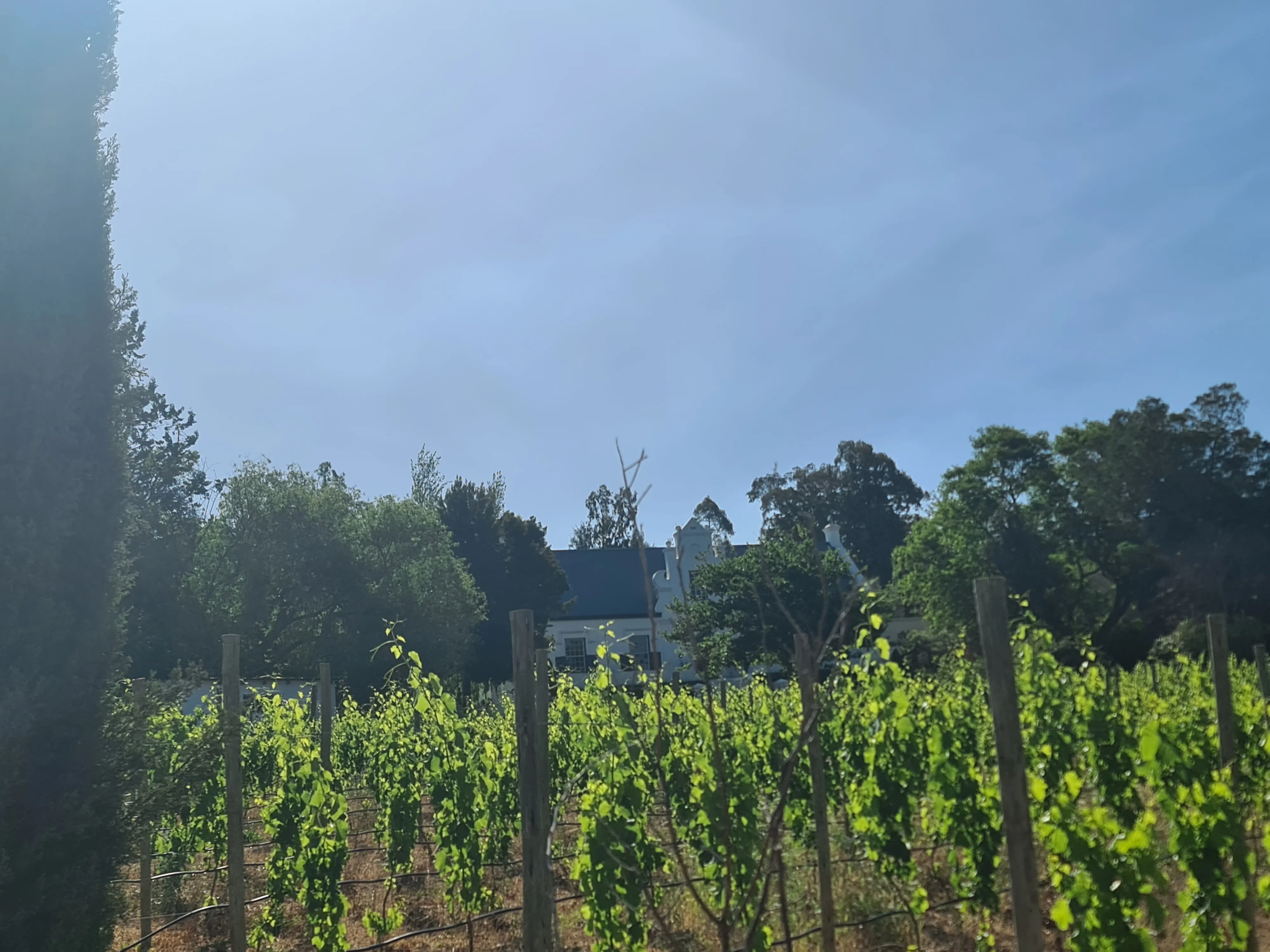 Wolwekloof Estate