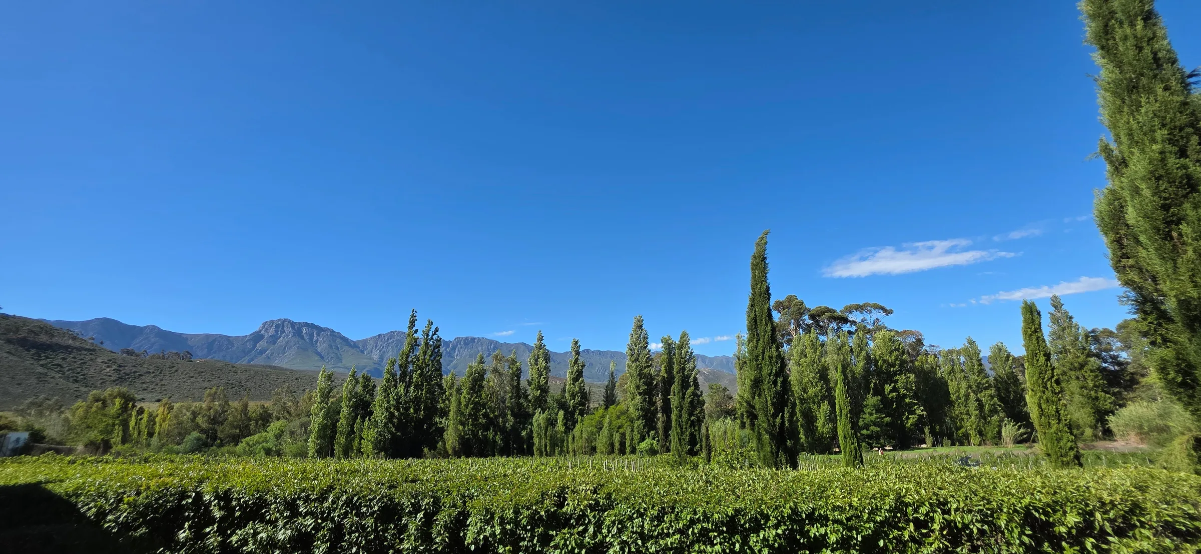 Wolwekloof Estate