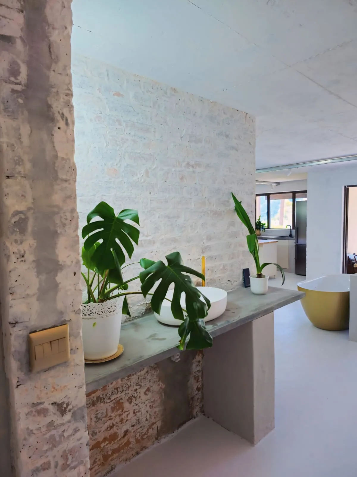 Downstairs Apartment