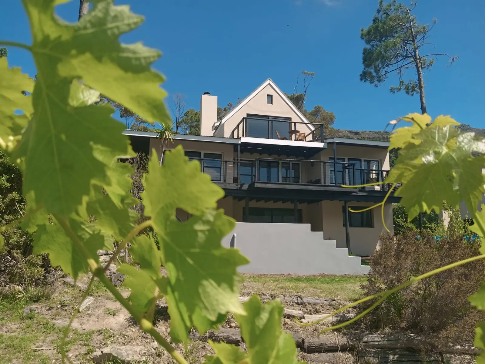Silvermist House